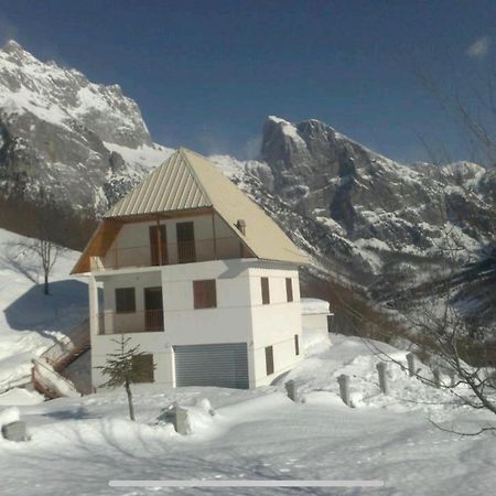 Alpbes Theth Guesthouse Shkodër 外观 照片