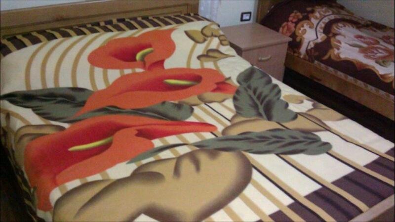 Alpbes Theth Guesthouse Shkodër 外观 照片